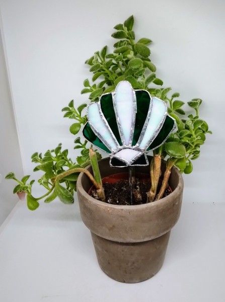 Blumenstecker Muschel