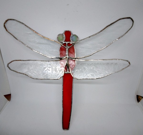 Libelle rot
