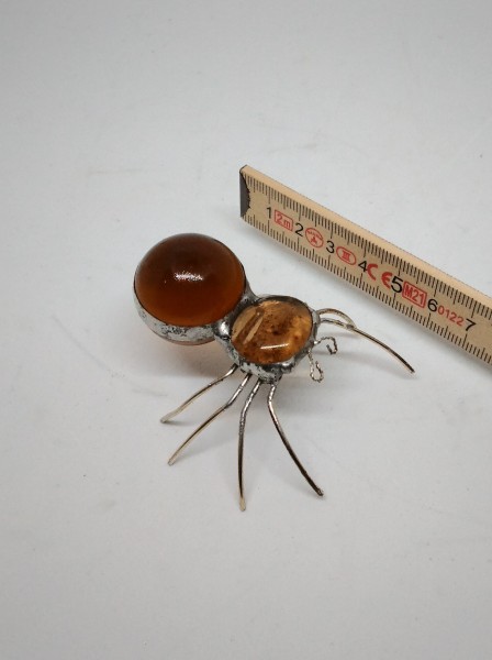 Spinne
