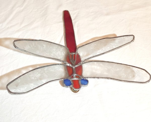 Libelle rot mit blauen Augen