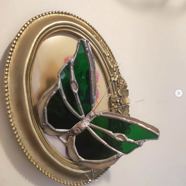 Schmetterling im Bilderrahmen